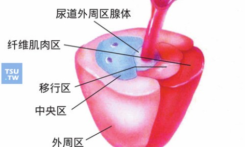 参鹿补虚胶囊多少钱一盒-参鹿补虚胶囊功能主治-参鹿补虚胶囊主治功能是什么呢,中国参鹿补虚胶囊主治功能是什么网站